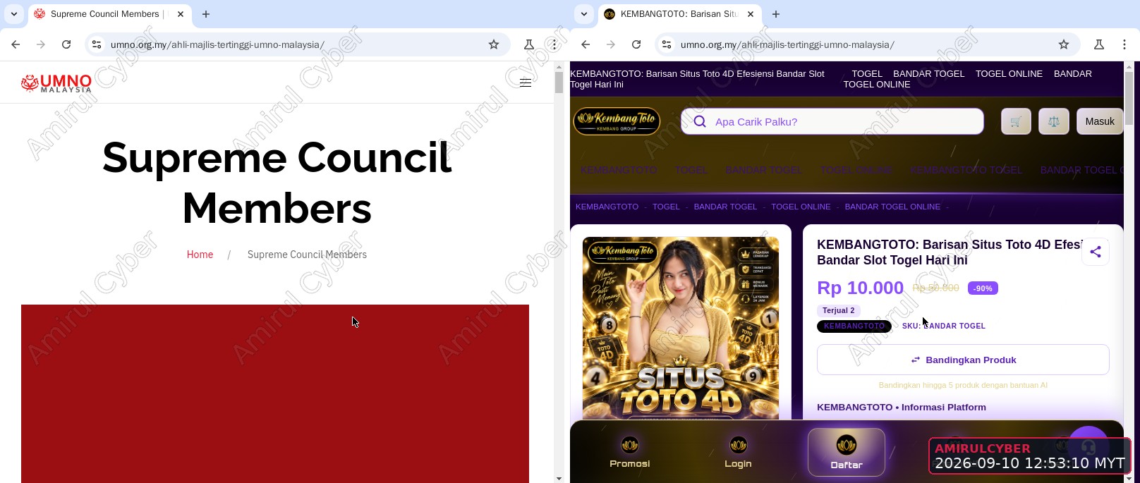 Figure 1. Same address, two websites