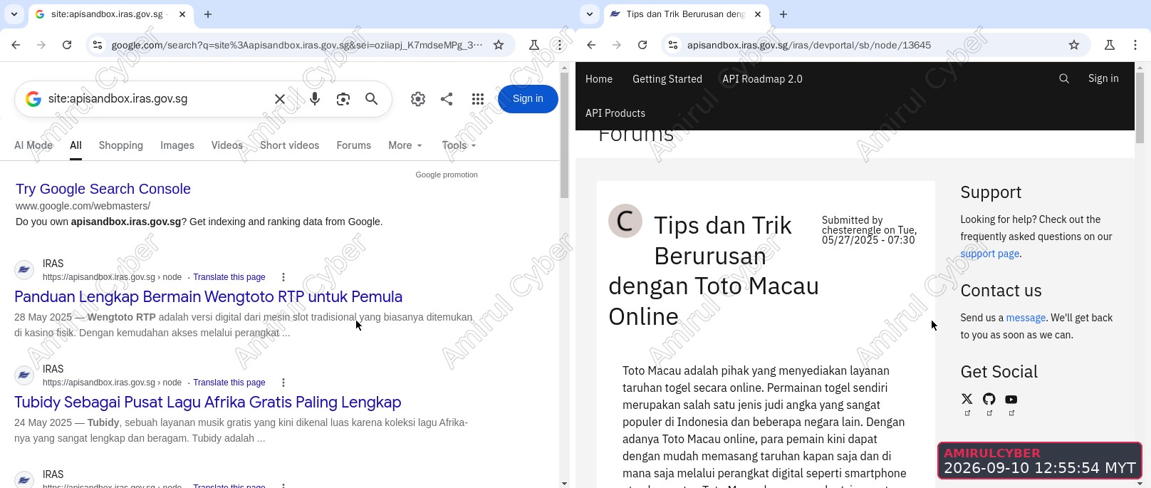 Figure 7. IRAS developer sandbox: Google's index vs the live page
